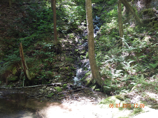 DSCN0450.jpg -                                