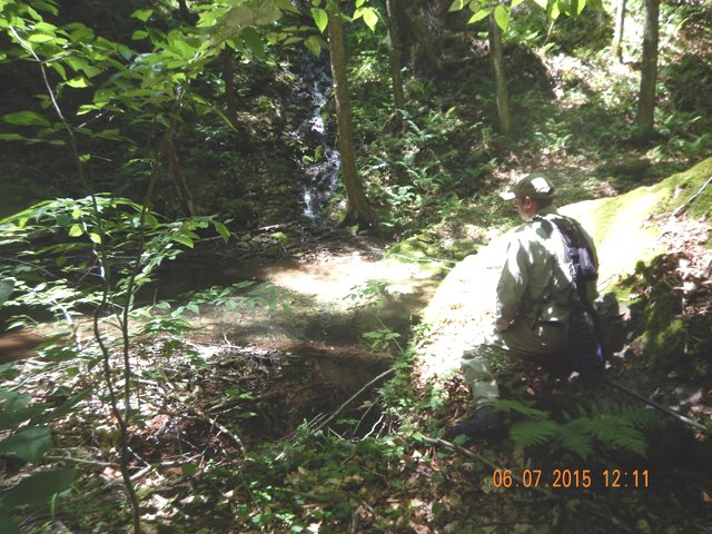 DSCN0452.jpg -                                