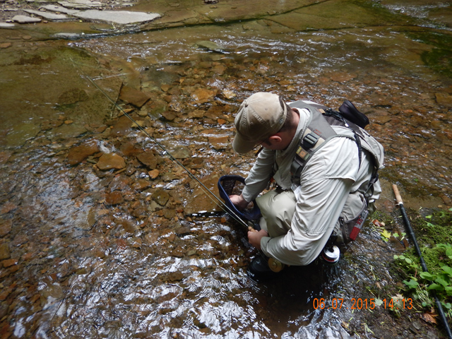 DSCN0457.jpg -                                
