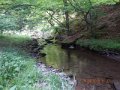 DSCN0416