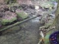 DSCN0430