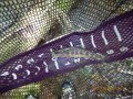 DSCN0431