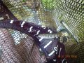 DSCN0441