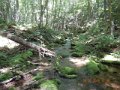 DSCN0442