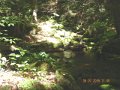 DSCN0445