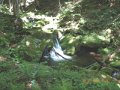 DSCN0446