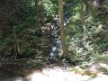 DSCN0450