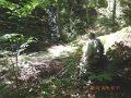 DSCN0451