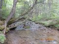 DSCN0455