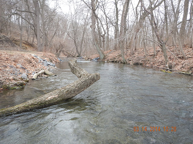 DSCN0417.jpg -                                Stream water was quite acceptable and water temp in the high 40's.