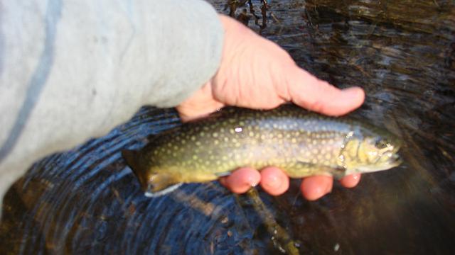 DSC02538.JPG