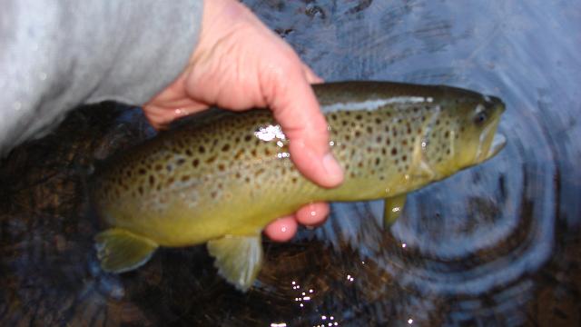 DSC02544.JPG