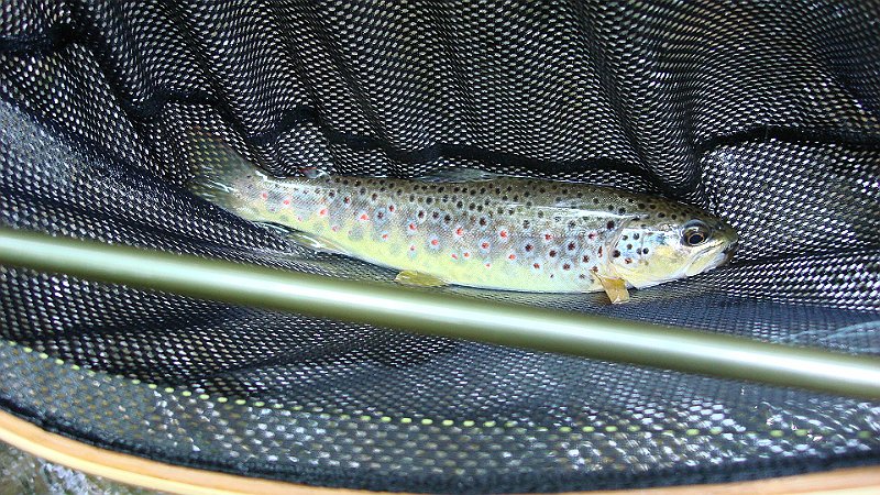 DSC02748.JPG