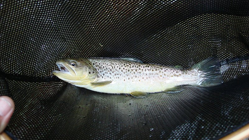 DSC02698.JPG