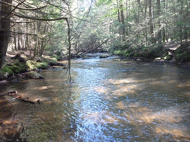 P1000404.JPG