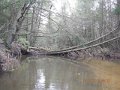 DSCN0161