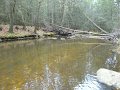DSC01273