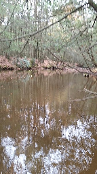 20161101_131350.jpg - Water was low and still