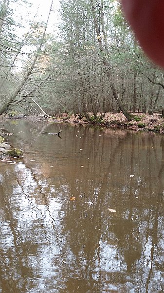 20161101_131355.jpg