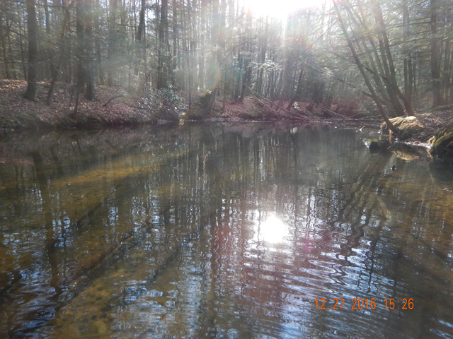DSCN1816.jpg -                                I made the ripples getting into position to take this photo.  Otherwise the water was like glass.