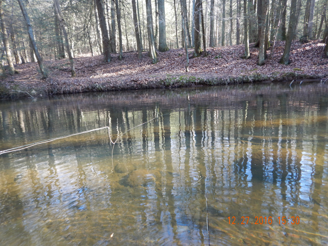 DSCN1818.jpg -                                