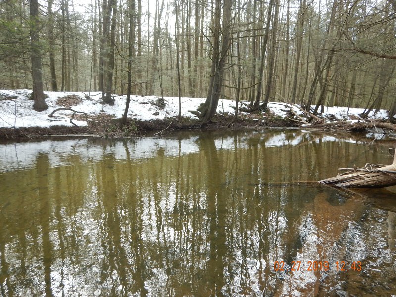 $Clarks19a003$.jpg - But, the water was at a nice level and clear which means, I did see a couple of trout in the stream, (couple means 4 in this case).