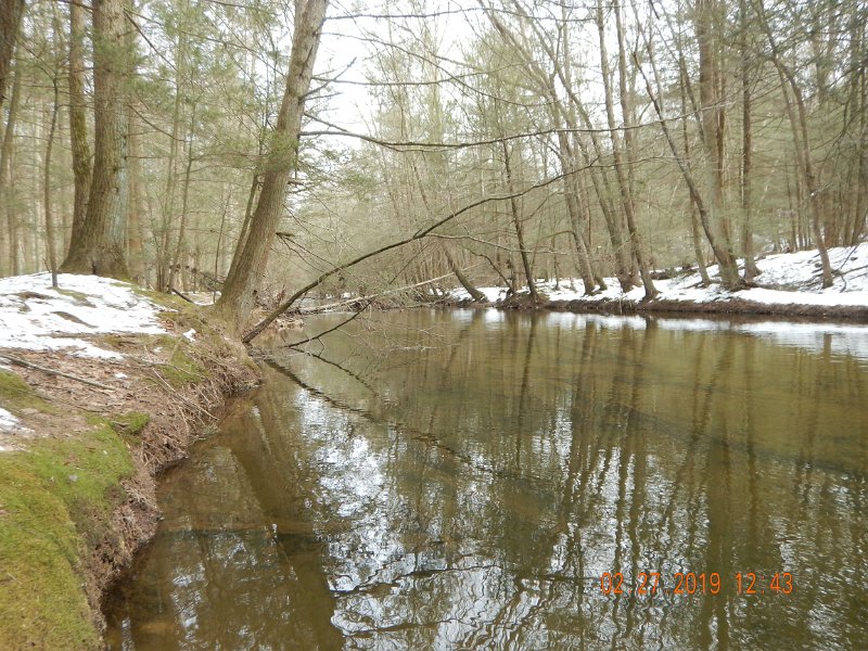 $Clarks19a004$.jpg - All trout I saw were darting from one piece of cover to another.  Really spooky.