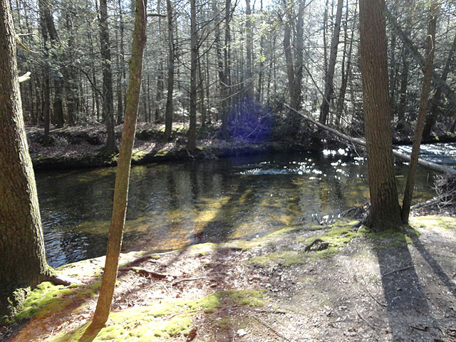 DSC00522.jpg -              February and no snow or ice!                  