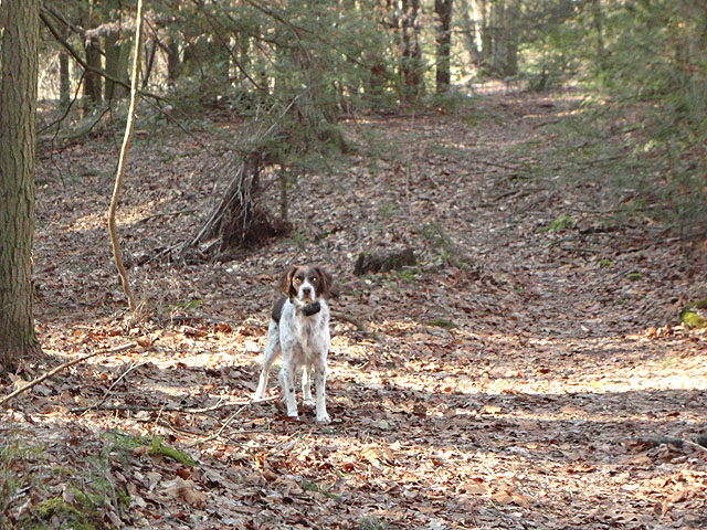 DSC00527.jpg -                                Only one who never turns down a fishing trip!