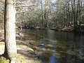 DSC00523