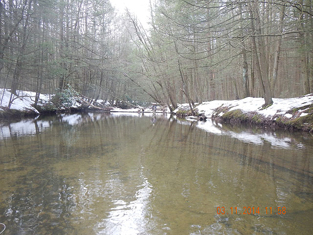 DSCN0408.jpg -                                Stream is fishable and clear as normal.