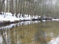 DSCN0407
