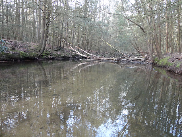 DSC00568.jpg - Water's low and clear.                               