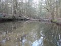 DSC00568