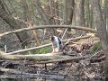 DSC00573