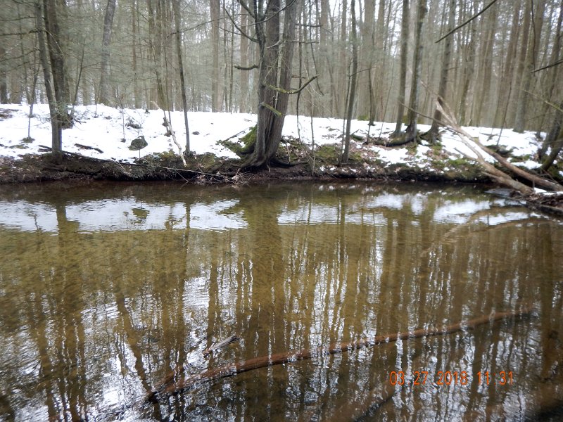 DSCN3002.jpg - Water was just about perfect and the fish were cooperating.