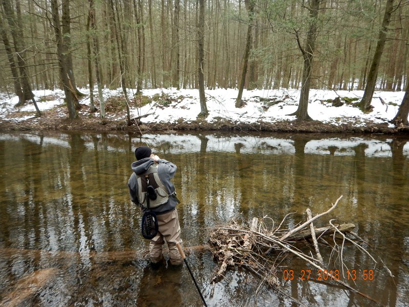 DSCN3015.jpg - Here's Gary with another one on.