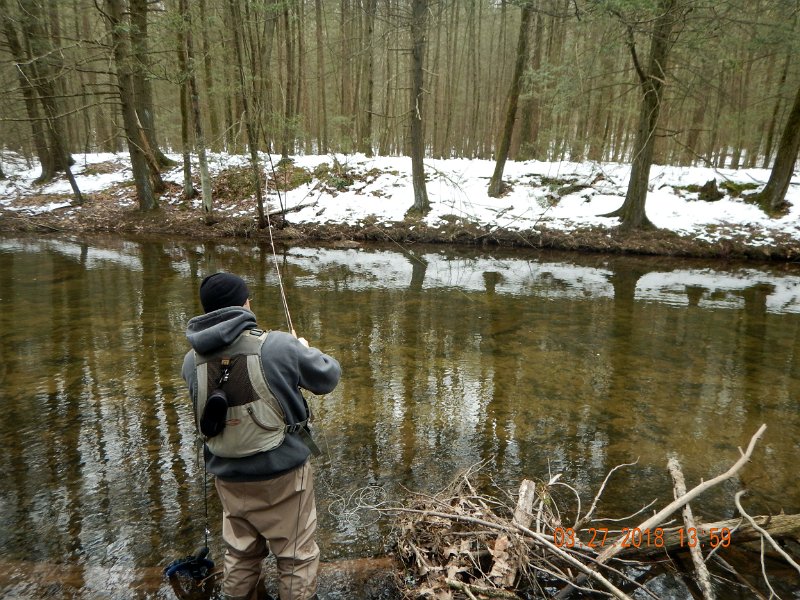 DSCN3016.jpg - Having lost a couple made us a little cautious about horsing the fish in.