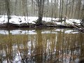 DSCN3002
