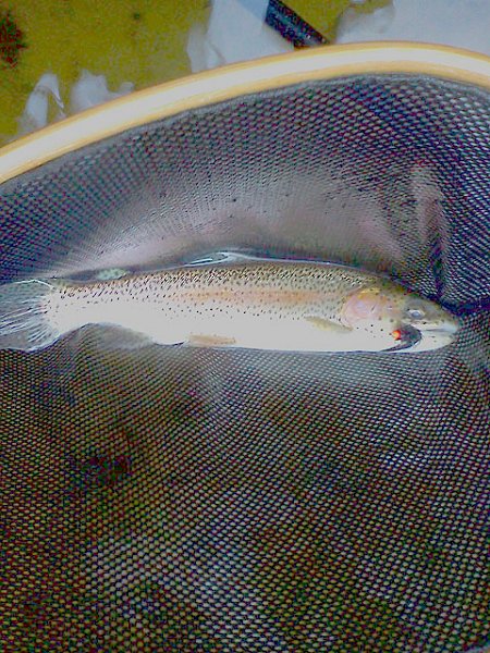 0306121650.jpg