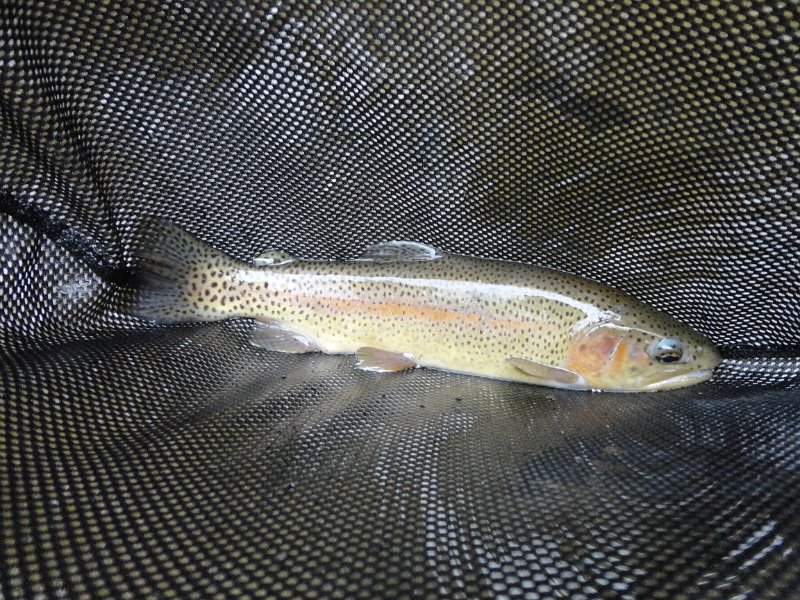 DSC00590.JPG - Nice little rainbow