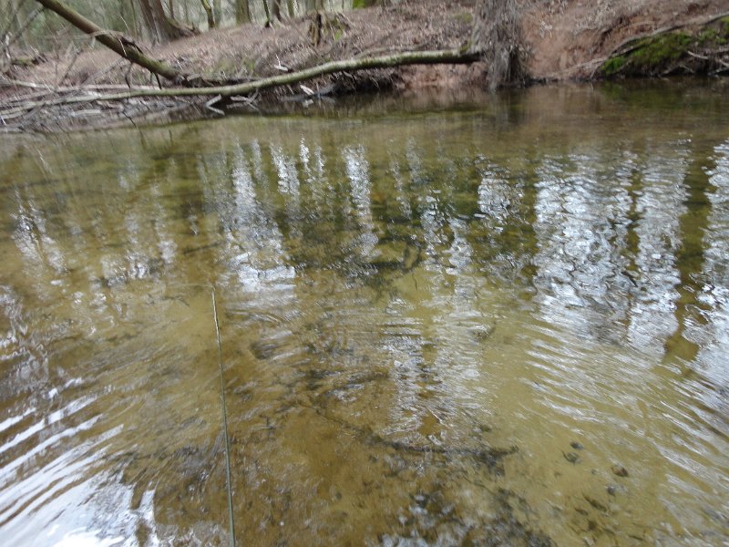 DSC00592.JPG - Water is gin clear and getting very low.  We need some rain.