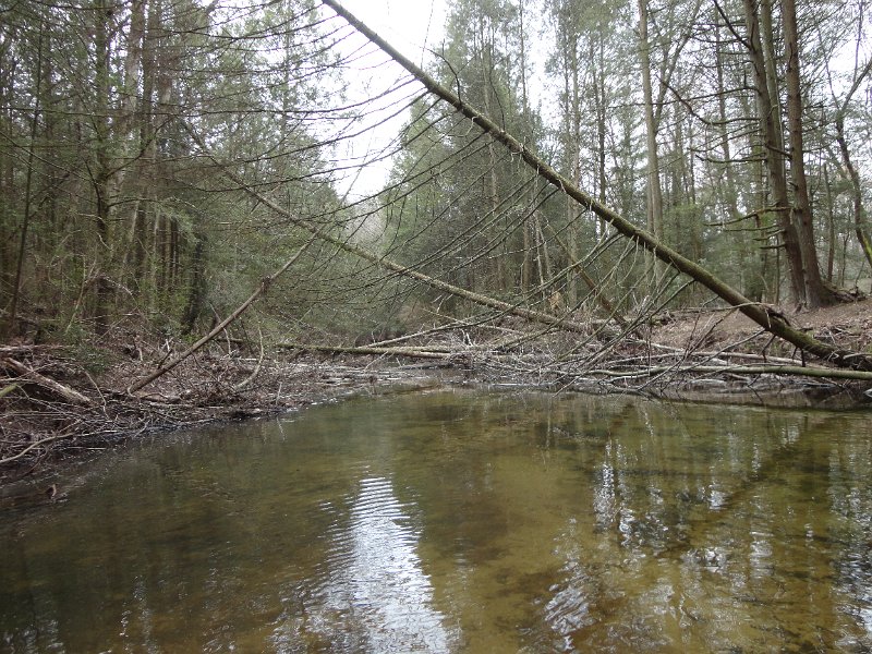 DSC00593.JPG - Here's where most of the fish were taken....and lost!