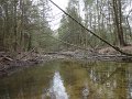 DSC00593