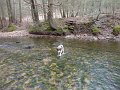 DSC00598