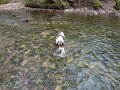 DSC00599