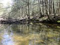 DSC00634