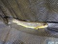 DSC00649