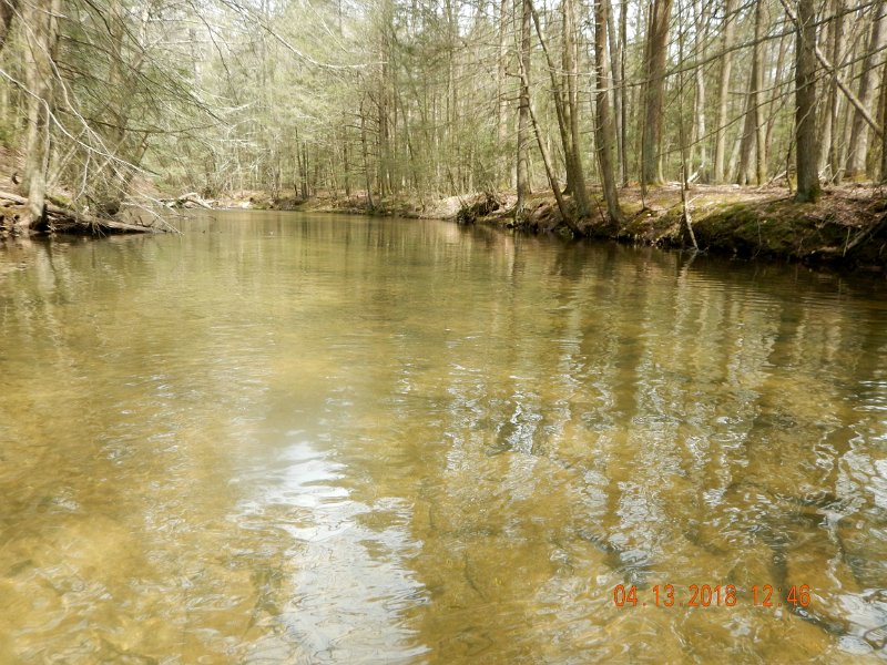 DSCN3040.jpg - This long hole has a bunch of fish, both browns and brookies.