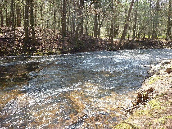 P1000670001.jpg - Faster water - stream pretty full